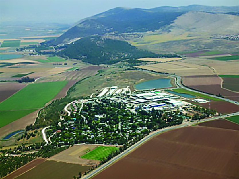 בית המשפט אינו מתערב בשיקוליה המקצועיים של הנהלת הקיבוץ  