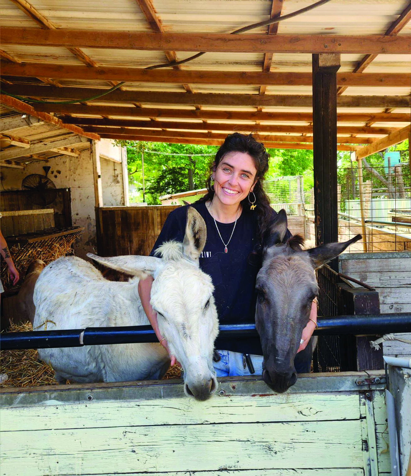חוזרים לחיות. עמותה. פינת החי שדות ים