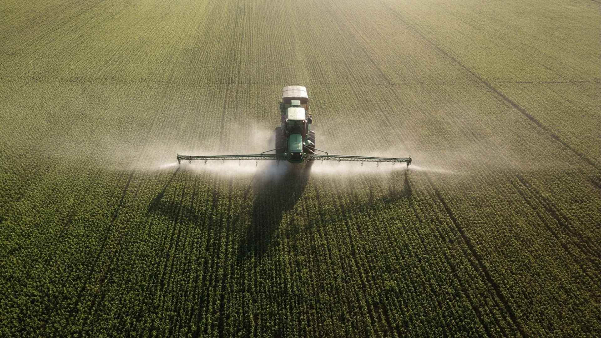 המאבק על קק"ל 
