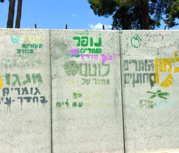הי"בניקים של בארי