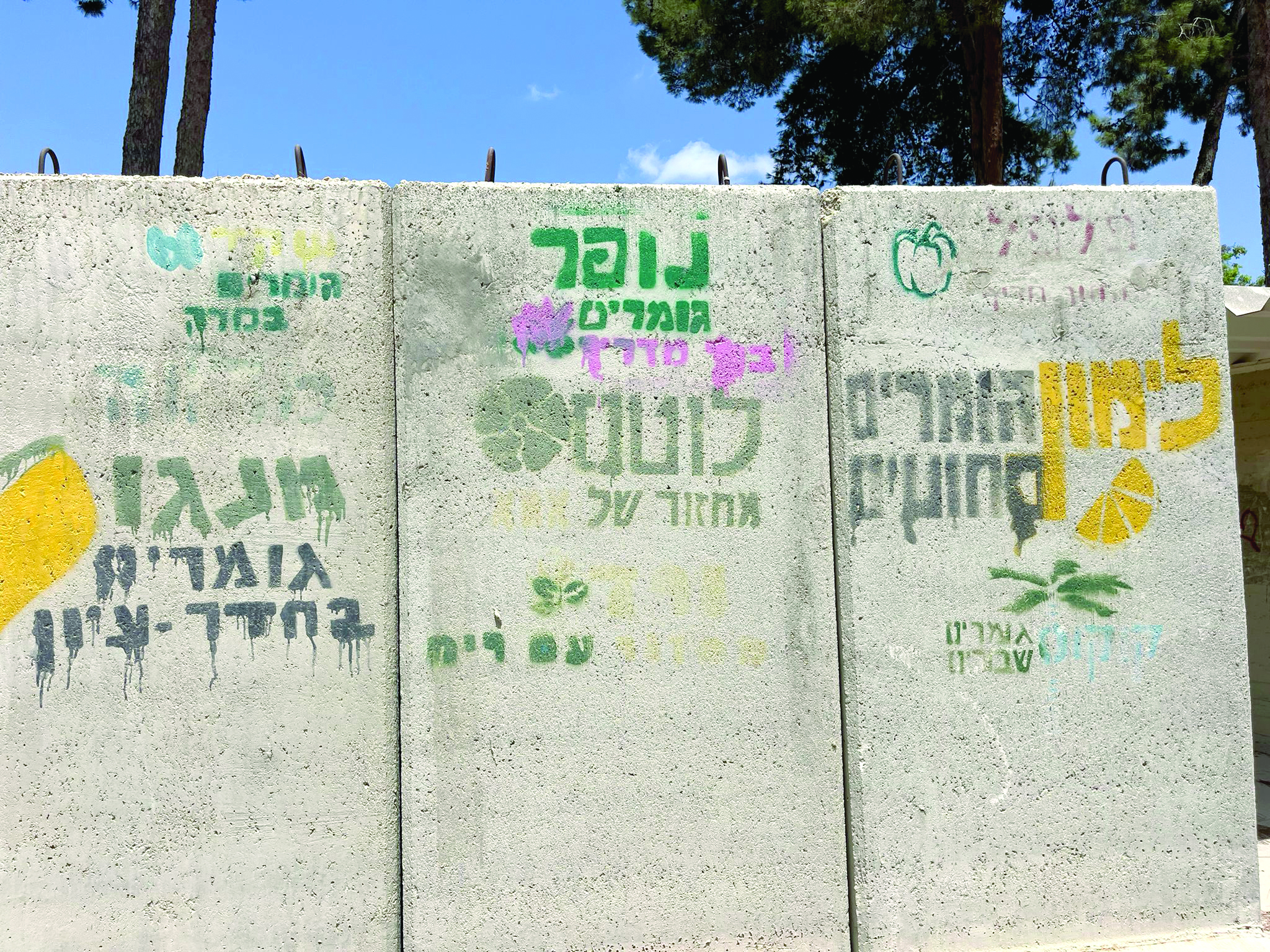 הי"בניקים של בארי