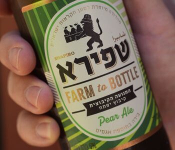 בירה חדשה מקיבוץ יפתח