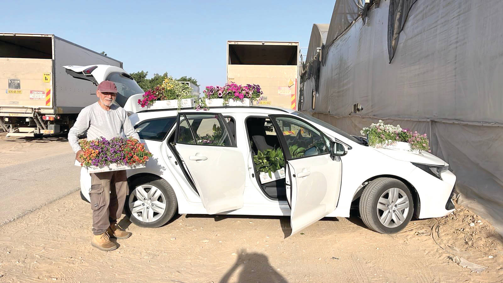 בארי: נצבט הלב