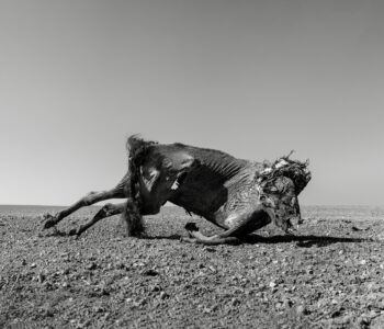 עקבות המלחמה