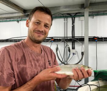 חקלאות קיבוצית: "סלמון המעיינות" משדה אליהו בדרך לגידול דגי סלמון במערכות מבוקרות