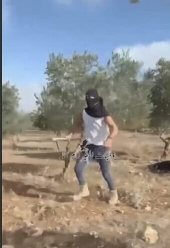 תשרי היה חודש מוצלח במיוחד