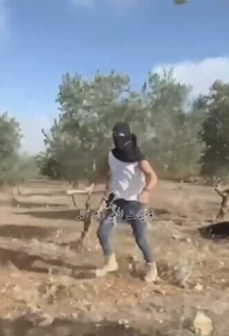 תשרי היה חודש מוצלח במיוחד