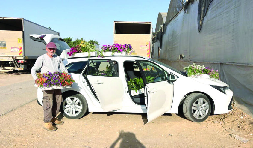 בארי: נצבט הלב