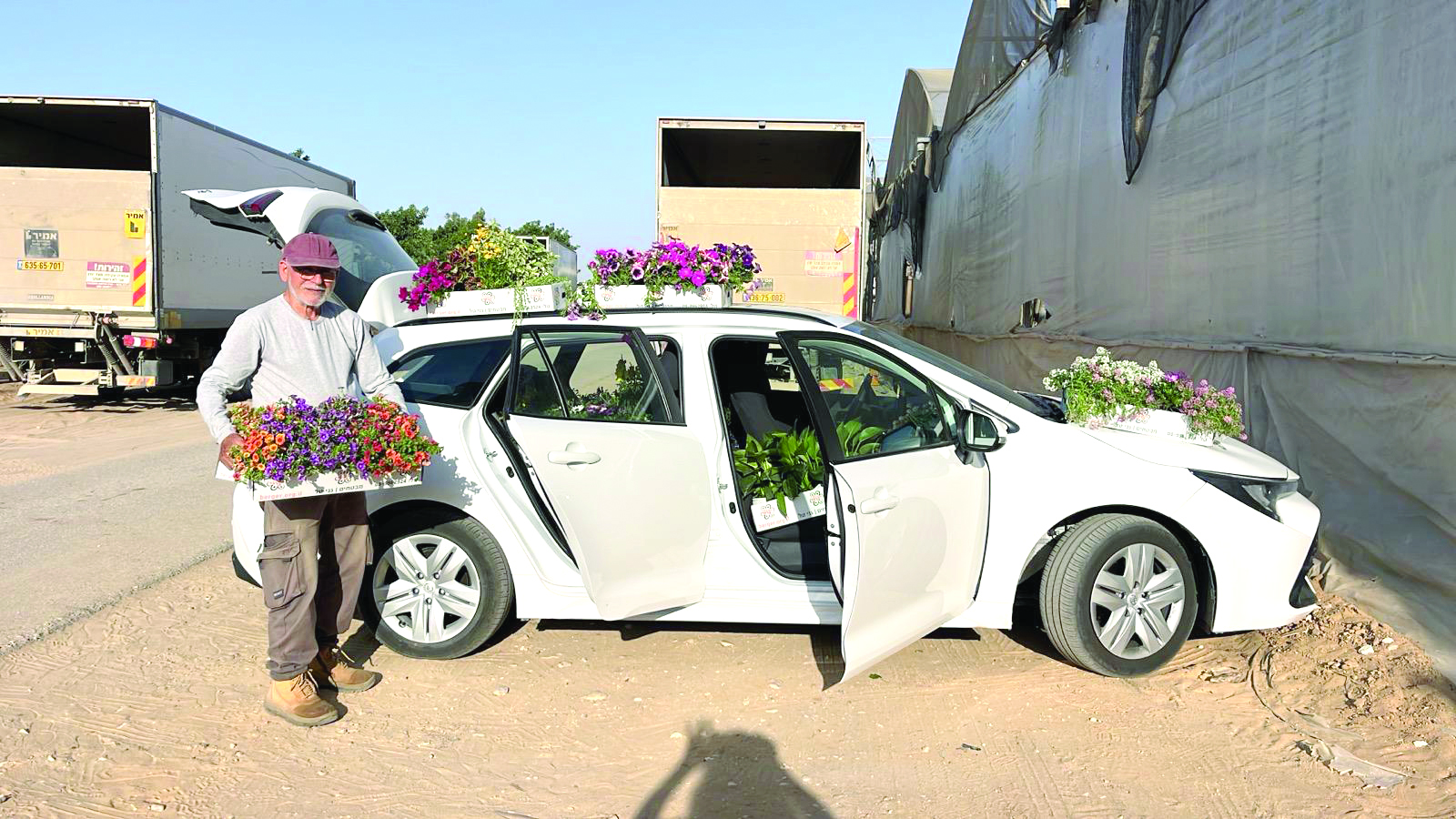 בארי: נצבט הלב