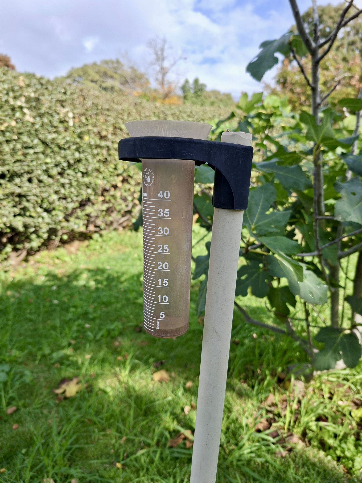 יממה חורפית: אלו שיאני הגשם בקיבוצים