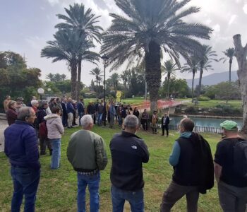 הנויניקים באים