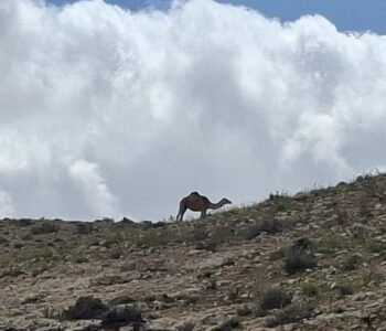 חבל להשקיע בניקיונות לפסח: מזג האוויר הפכפך ואביך