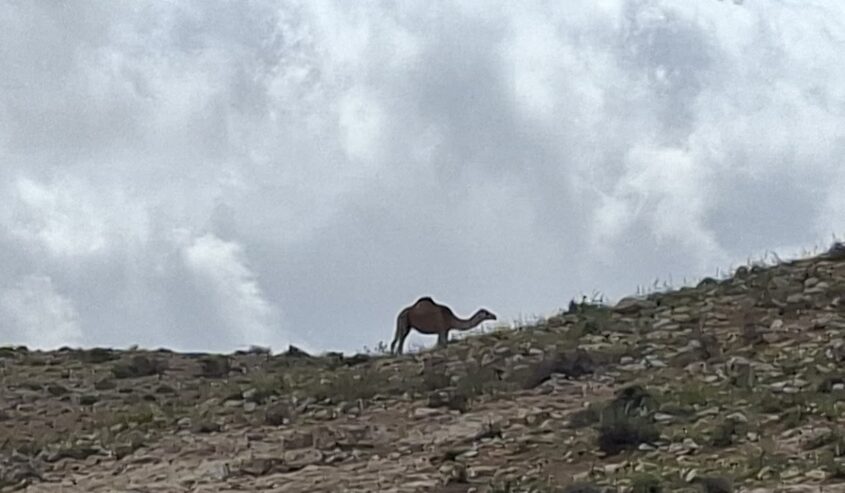 חבל להשקיע בניקיונות לפסח: מזג האוויר הפכפך ואביך