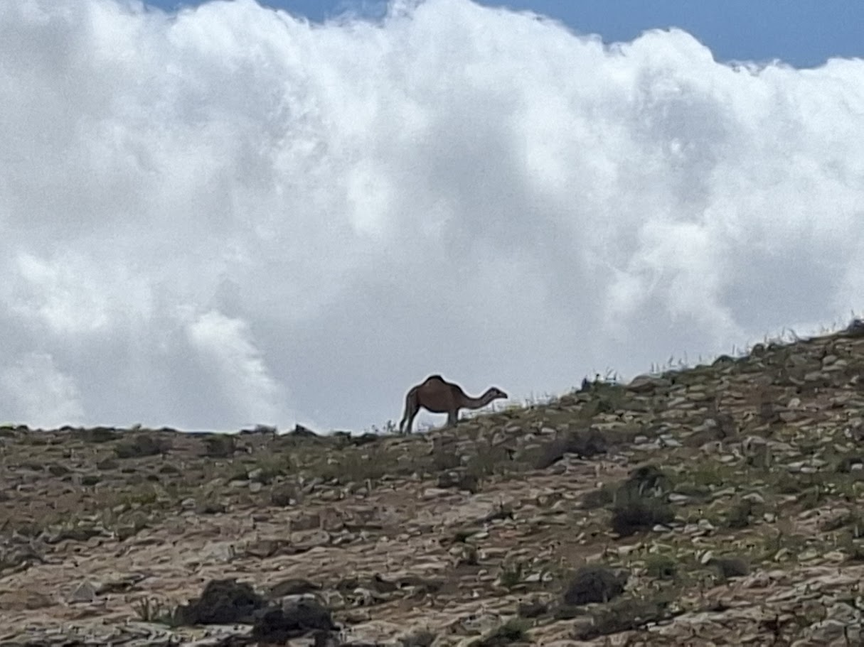 חבל להשקיע בניקיונות לפסח: מזג האוויר הפכפך ואביך