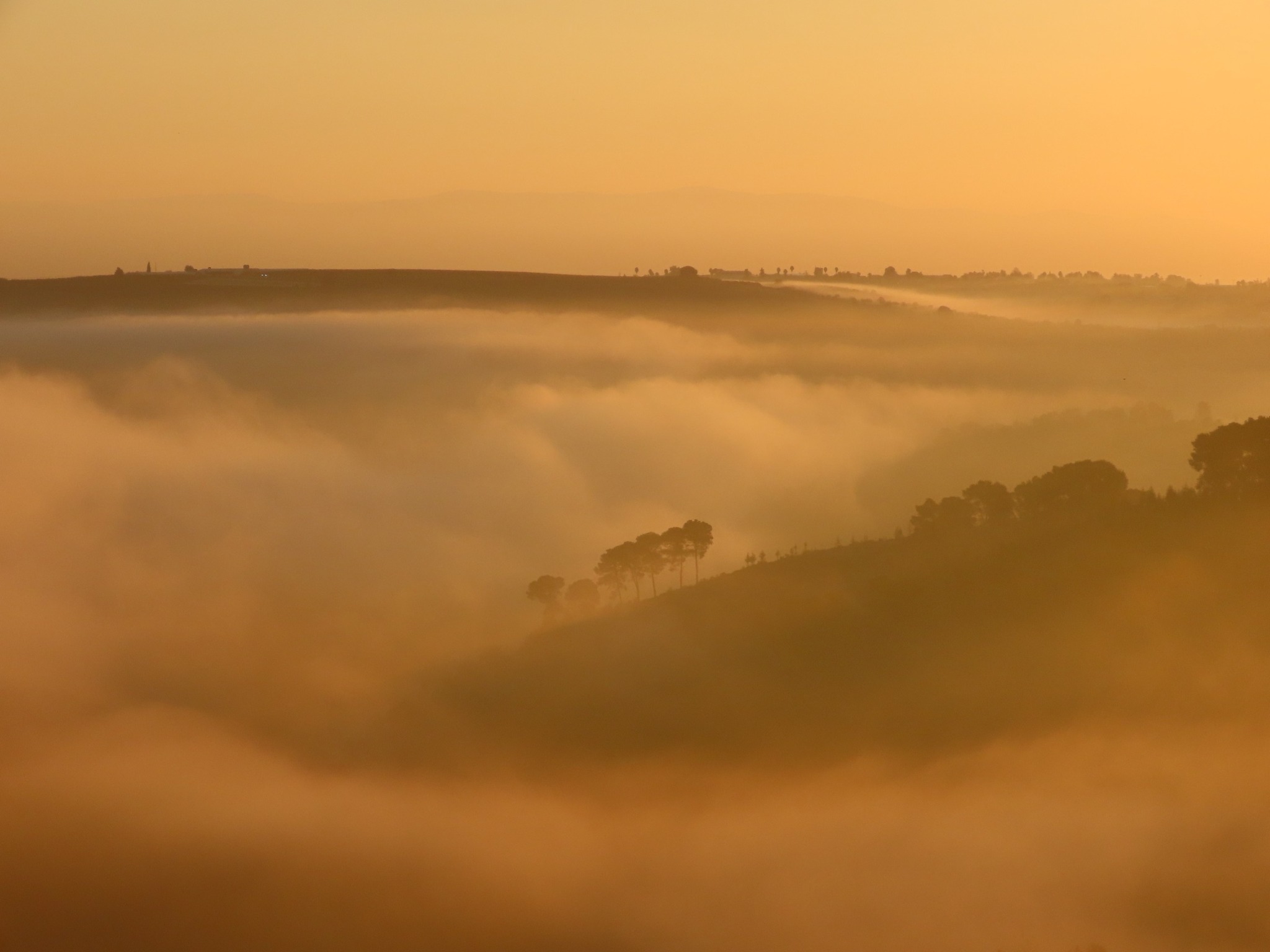 תחזית הפכפכה: חכו עם ניקיונות פסח