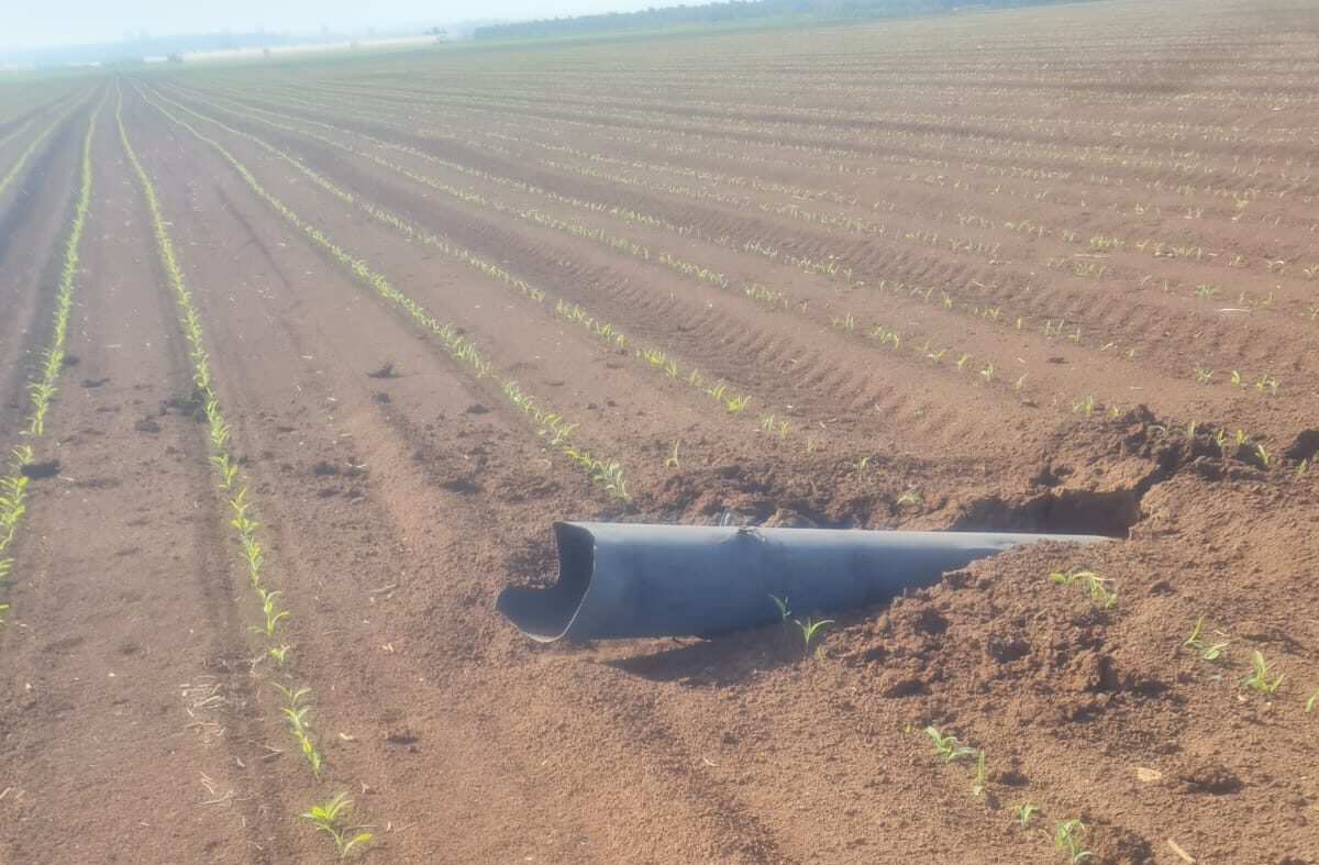 מי מגן על הקיבוצניקים העובדים "בשטחים פתוחים"? הממשלה מתחמקת מתשובות