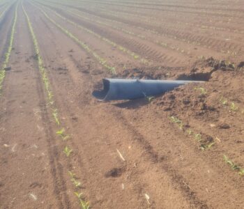 מי מגן על הקיבוצניקים העובדים "בשטחים פתוחים"? הממשלה מתחמקת מתשובות