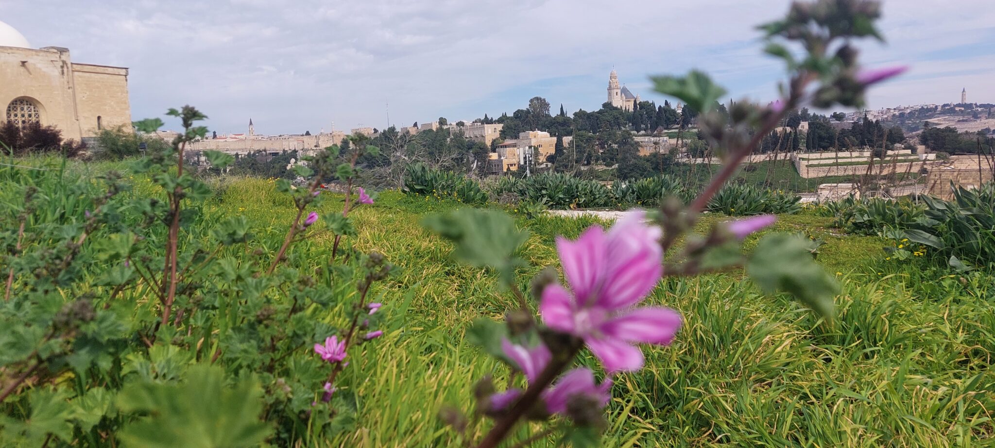 טיול לסופ"ש: ירושלים שלא הכרתם