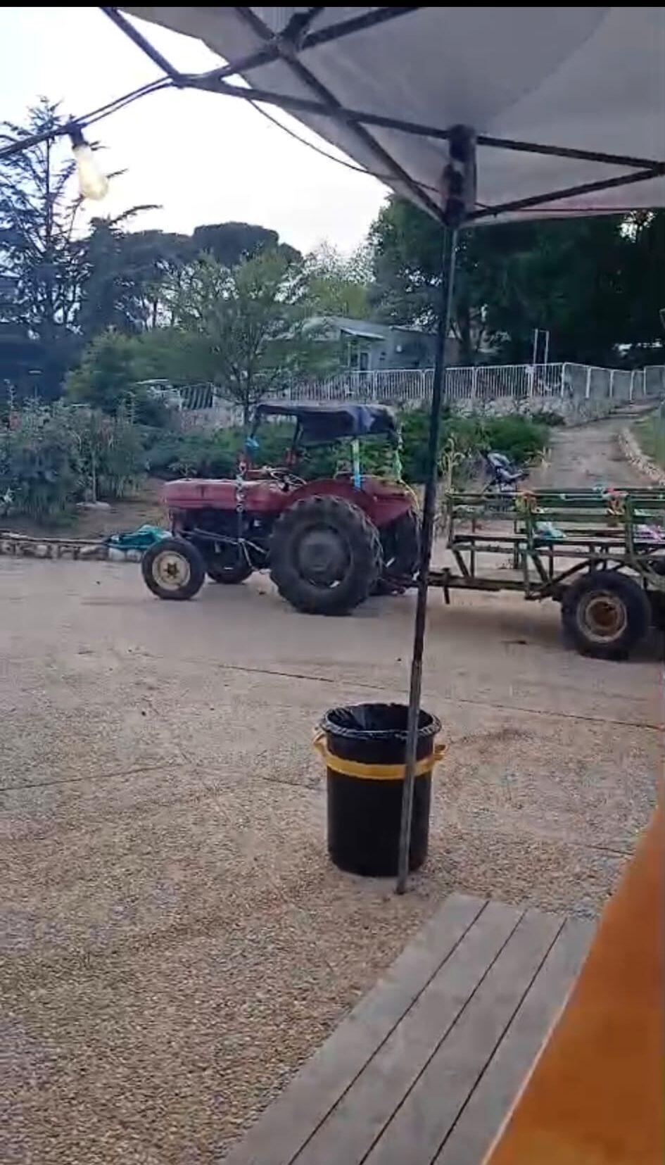רחפני נפץ במהלך טקס הביכורים במשגב עם