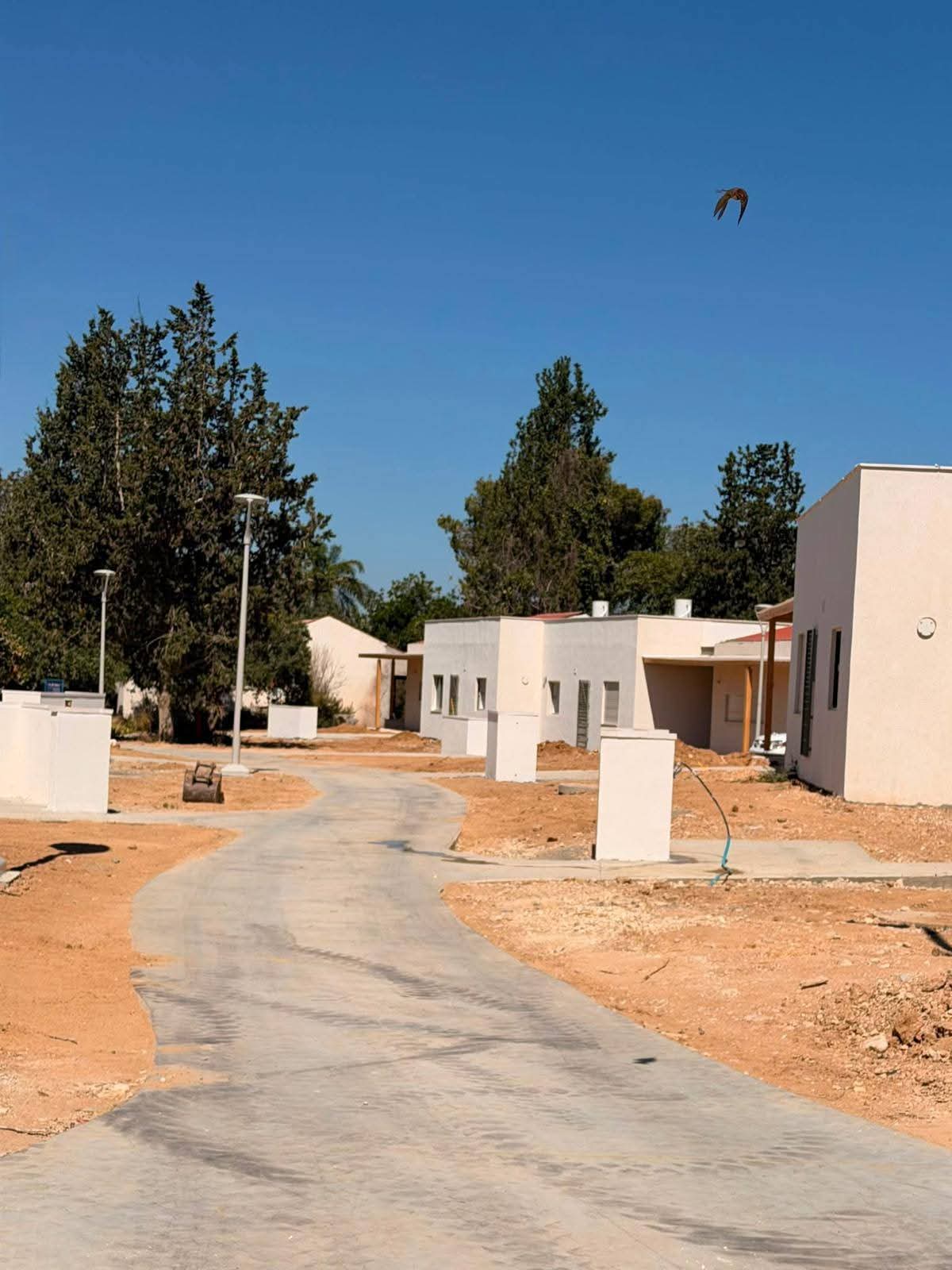 מהחורבן אל הבית: ראשוני החברים חוזרים לניר עוז