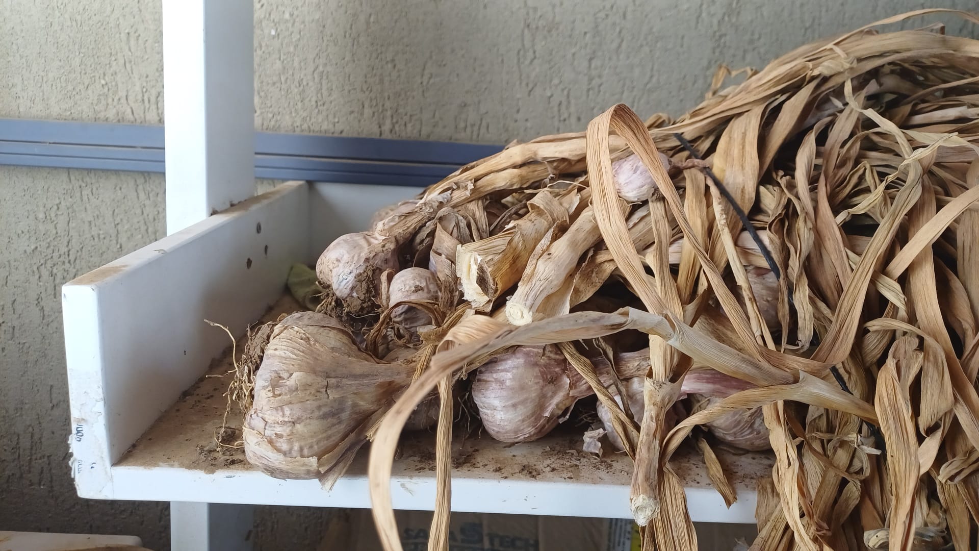 ניצחון למגדלי השום בעליון: נדחתה בקשת המדינה לסלק על הסף את תביעת הענק כנגד משרד האוצר